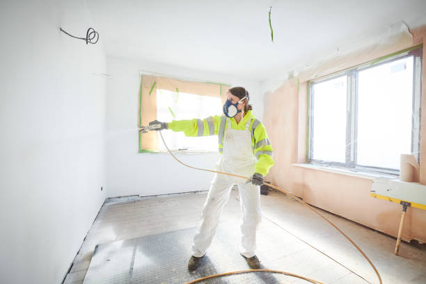 Best Mold Odor Removal Services  in Cortez, FL