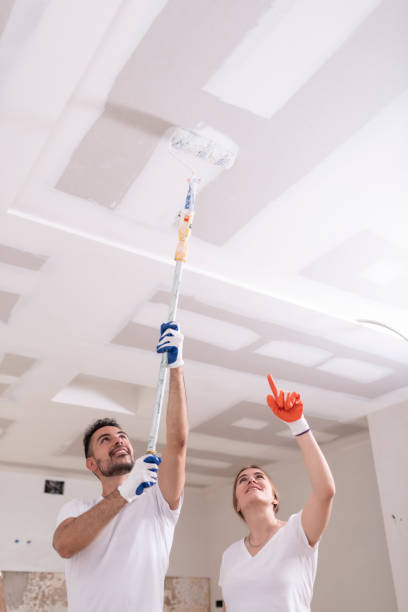 Best Forensic Mold Investigation  in Cortez, FL